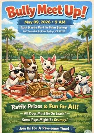 Bully Meet Up in Palm Springs!
